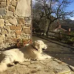 Apartmán La Xamoca Rurales *