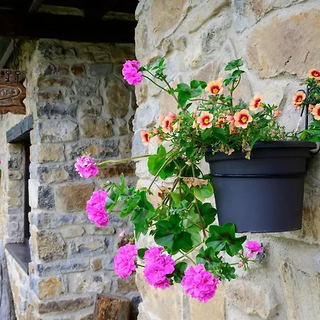 La Xamoca Rurales Apartamento