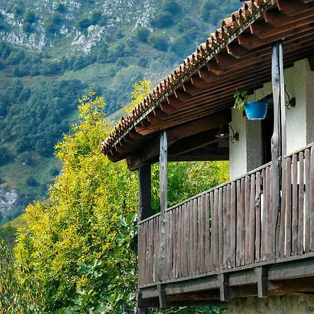 Apartmán La Xamoca Rurales *